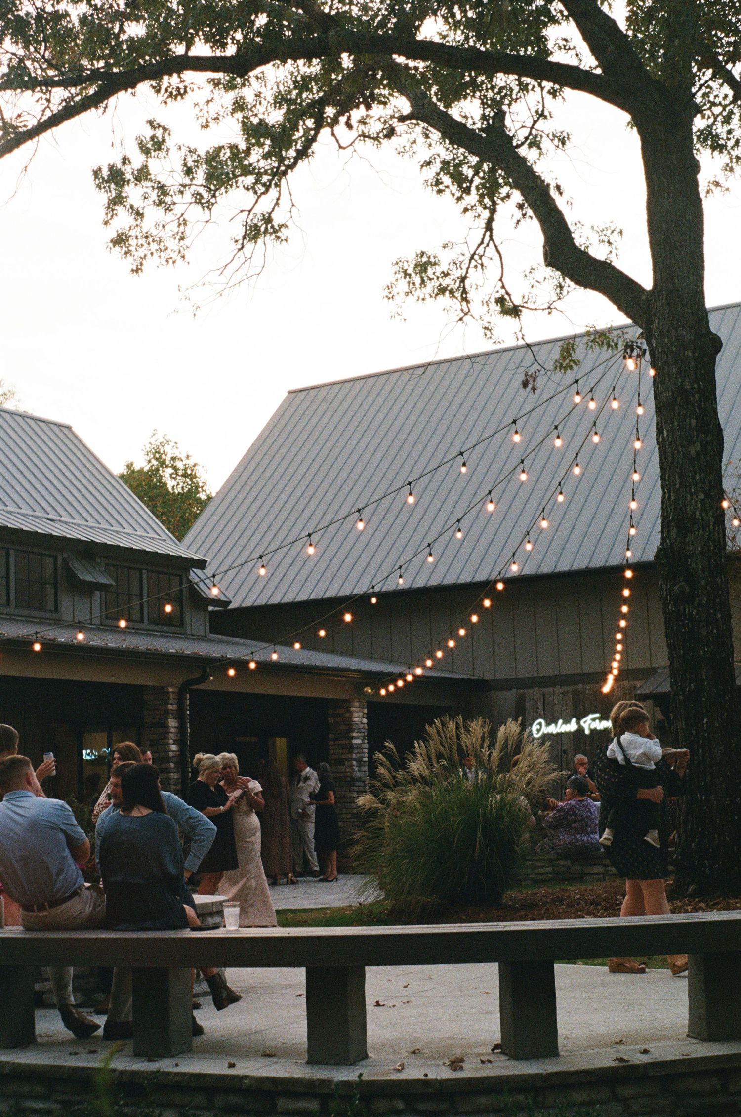 Rustic event venue with string lights hanging between trees at dusk.