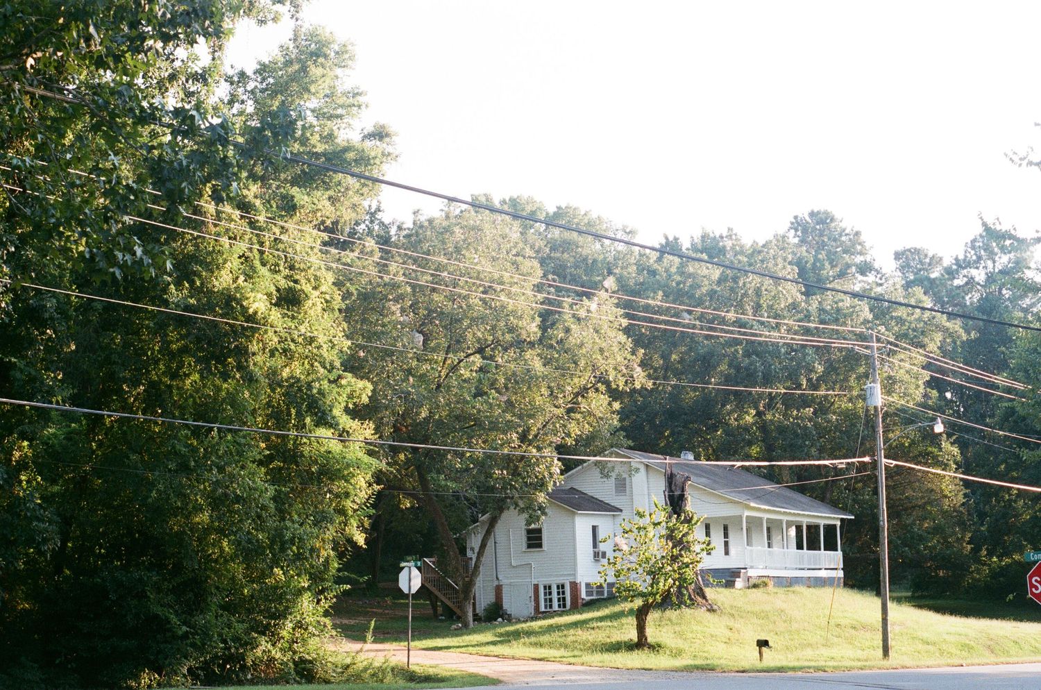 White ranch-style house nestled among trees with power lines overhead on a sunny day.