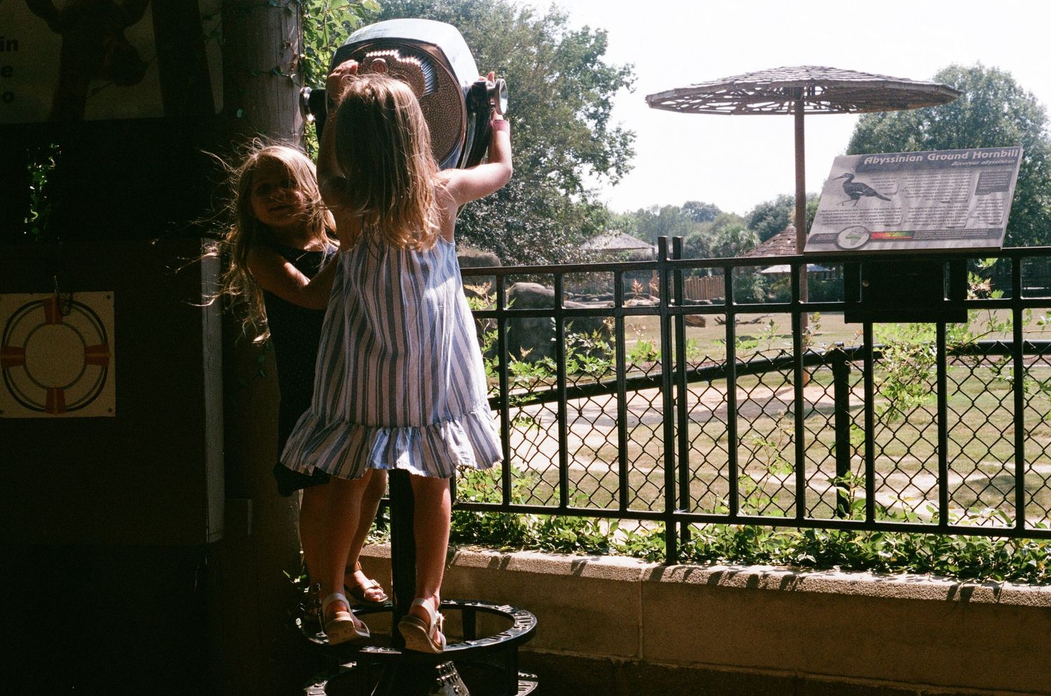 People enjoying a scenic overlook with countryside views through rustic wooden railings.