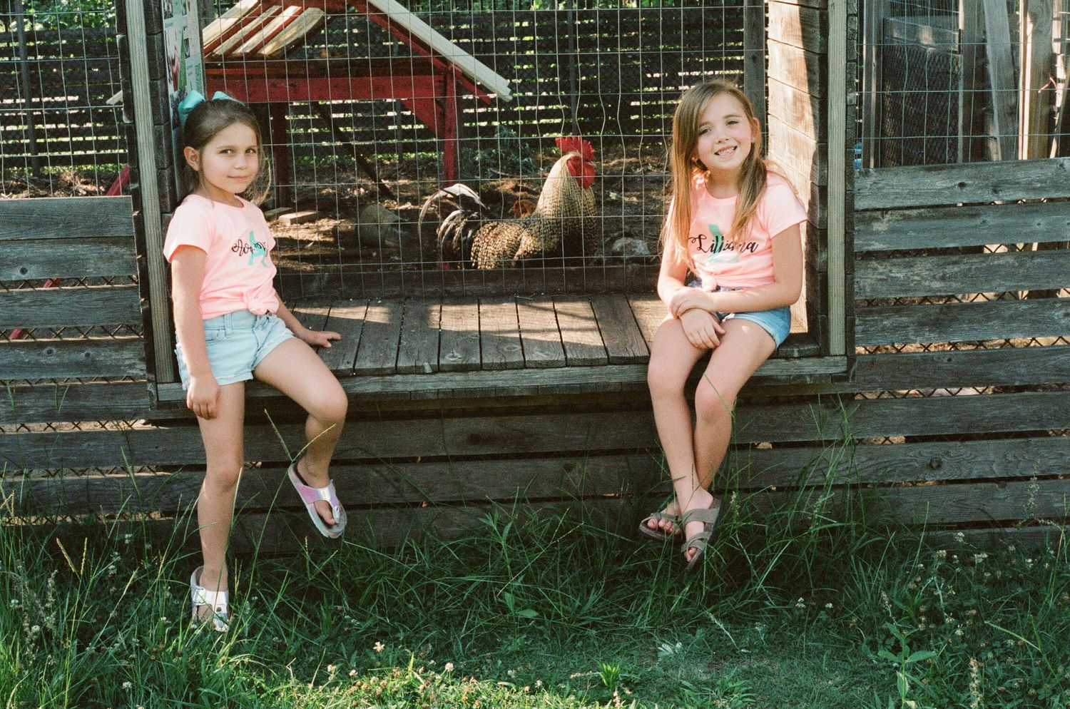 Children sitting on wooden fence posts in a backyard setting.