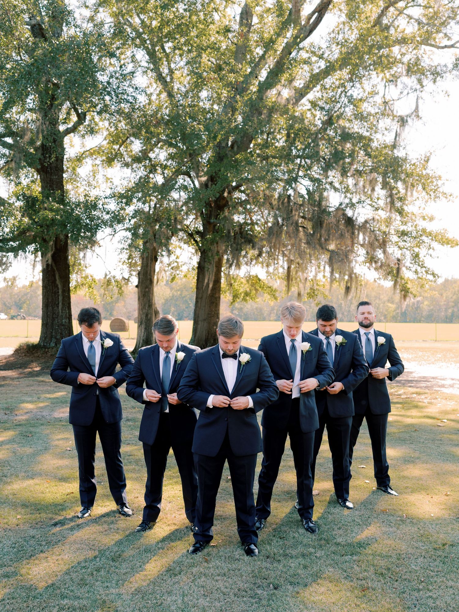 Groomsmen in black suits walk together across a sunny lawn with dramatic shadows from trees.