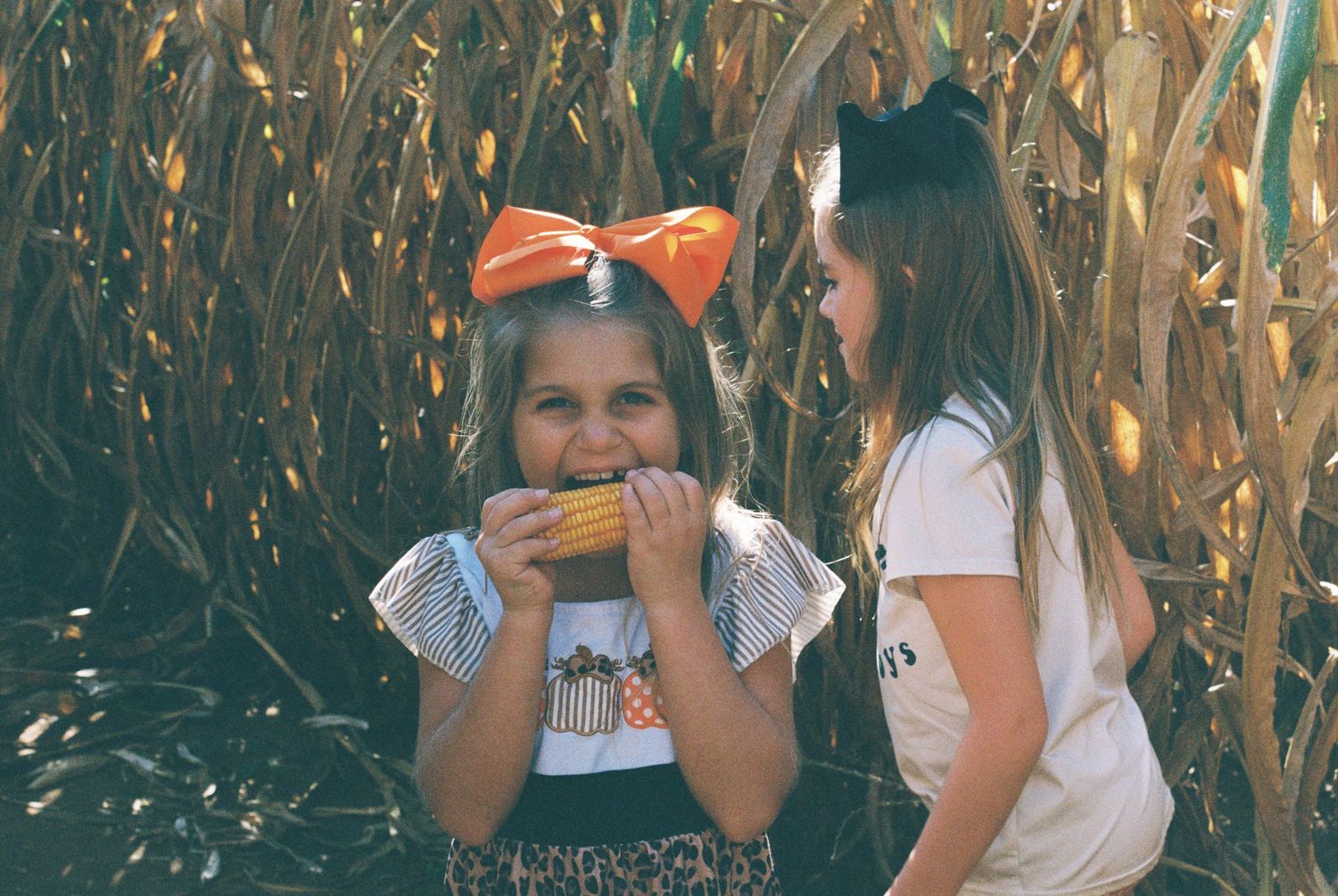 People enjoying snacks while standing in a corn maze during autumn.