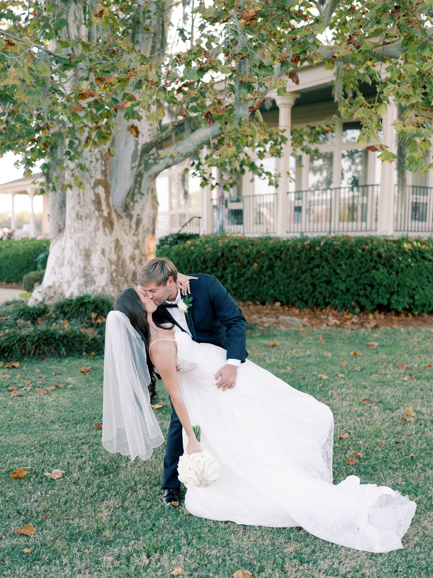 Romantic dip kiss between newlyweds under large tree on wedding day.