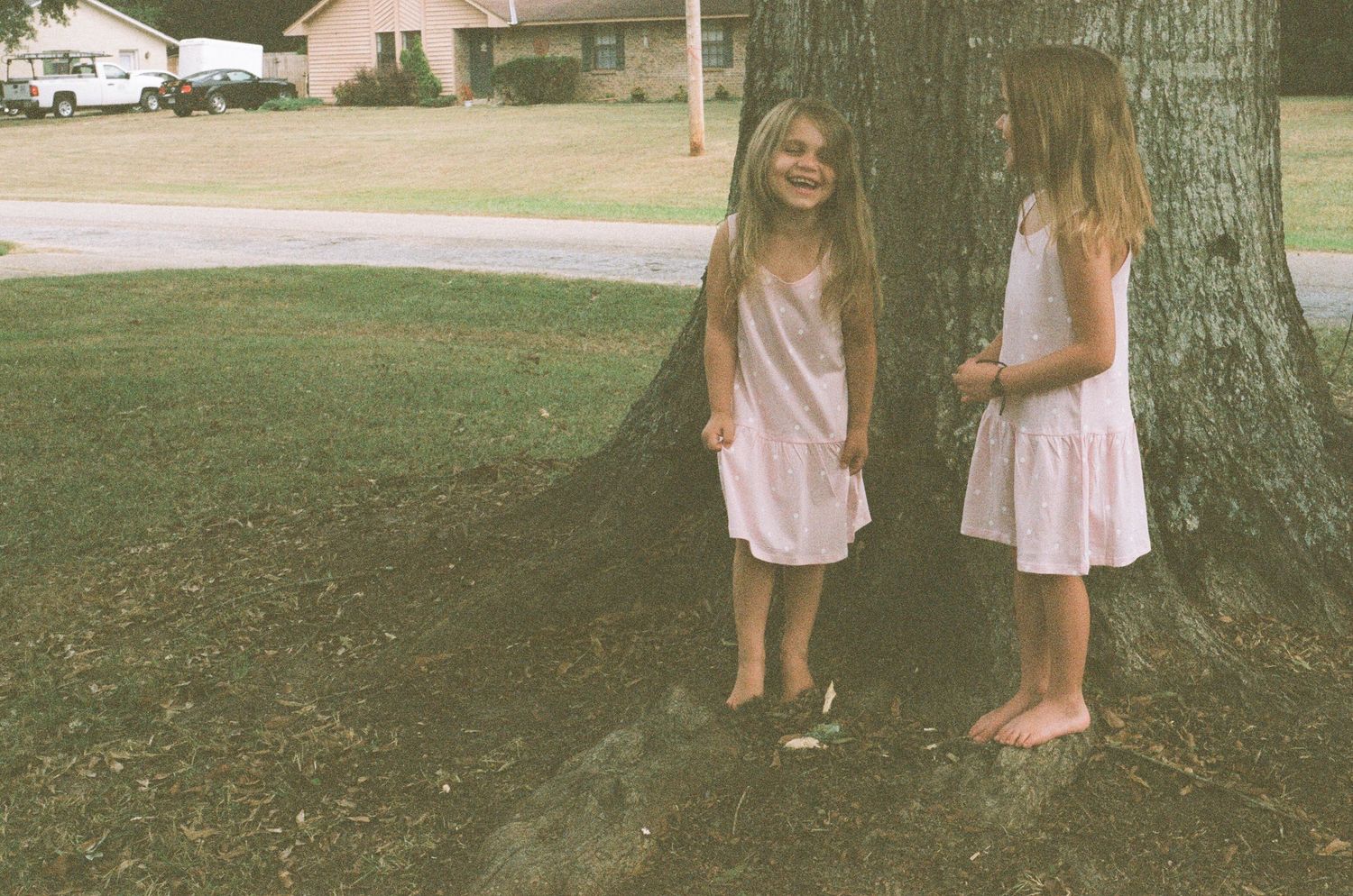Two children in matching pink dresses stand beside a large tree trunk on a grassy lawn.