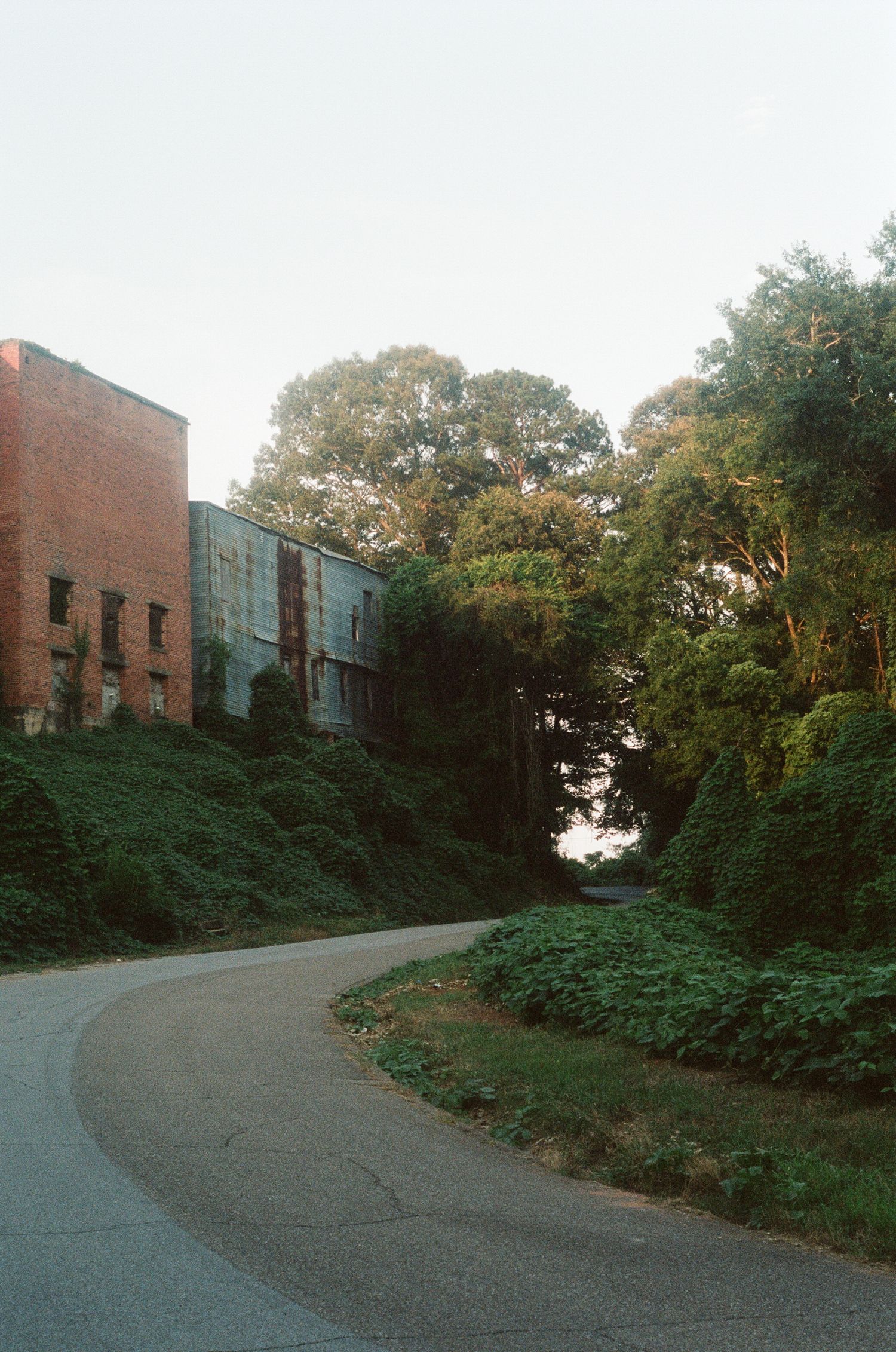 Curved driveway leading to a brick building surrounded by lush greenery.