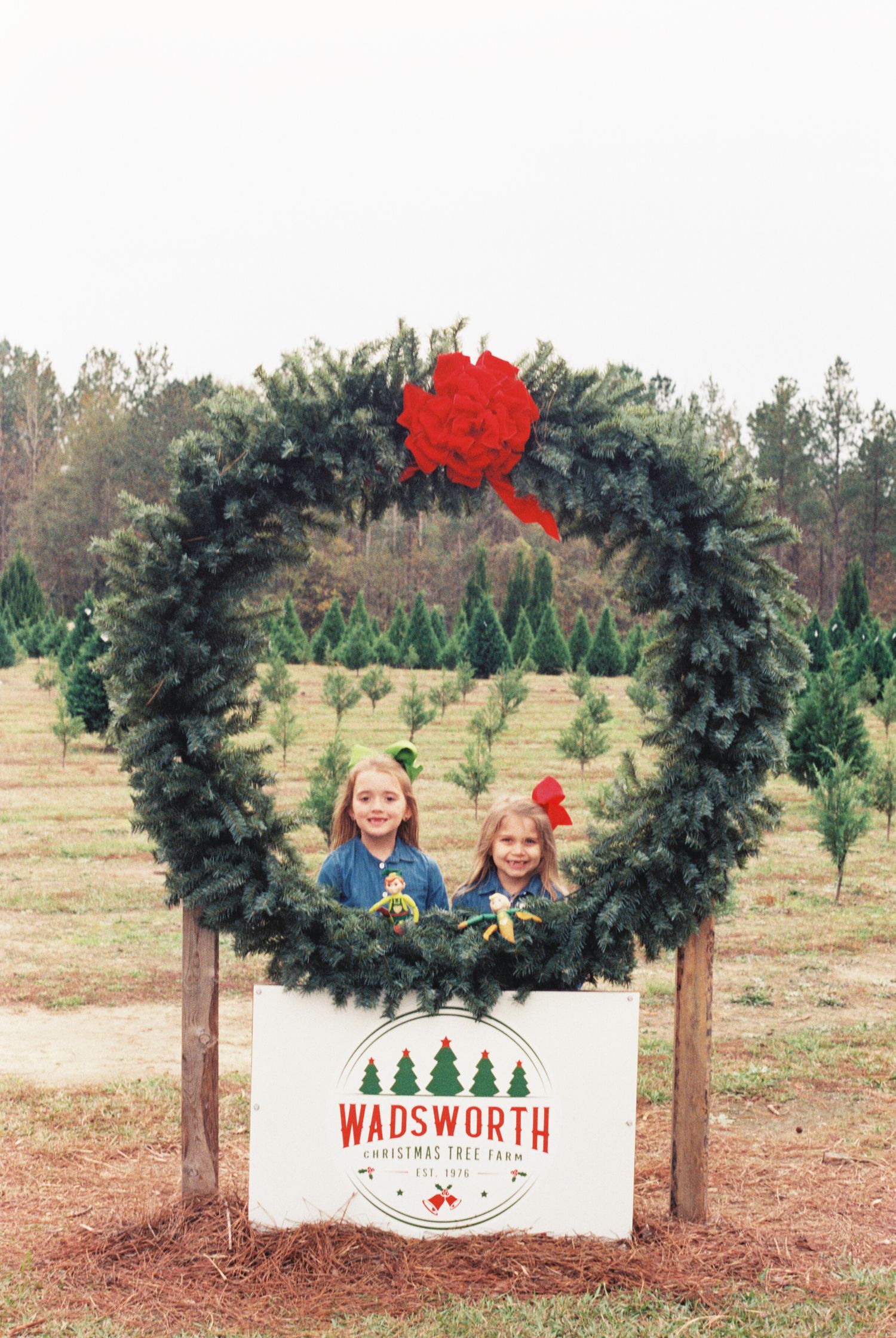 Large decorative Christmas wreath with red bow at Wadsworth Christmas Tree Farm.