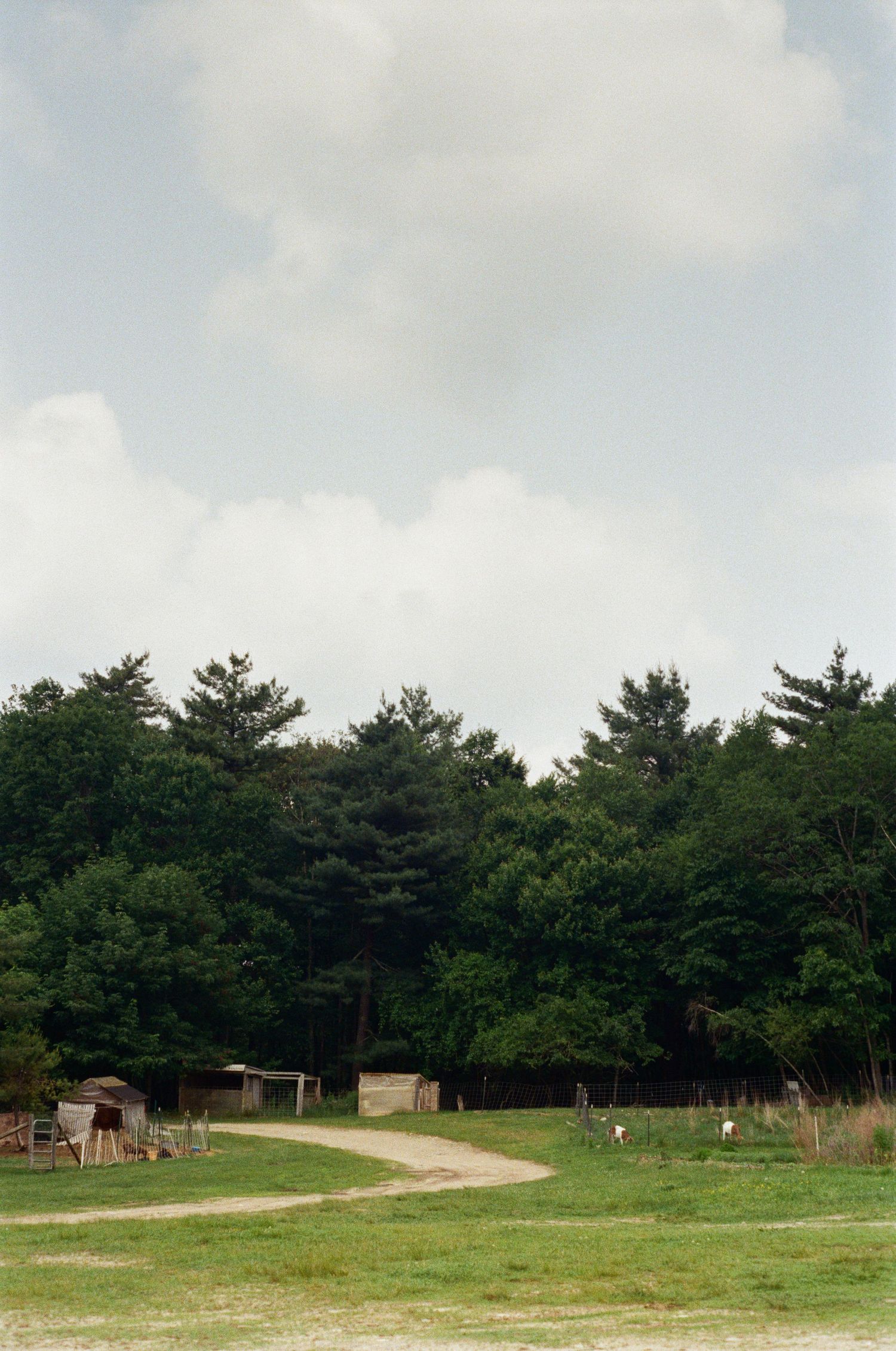 Open grassy field with pine trees and small structures in the background under a cloudy sky.