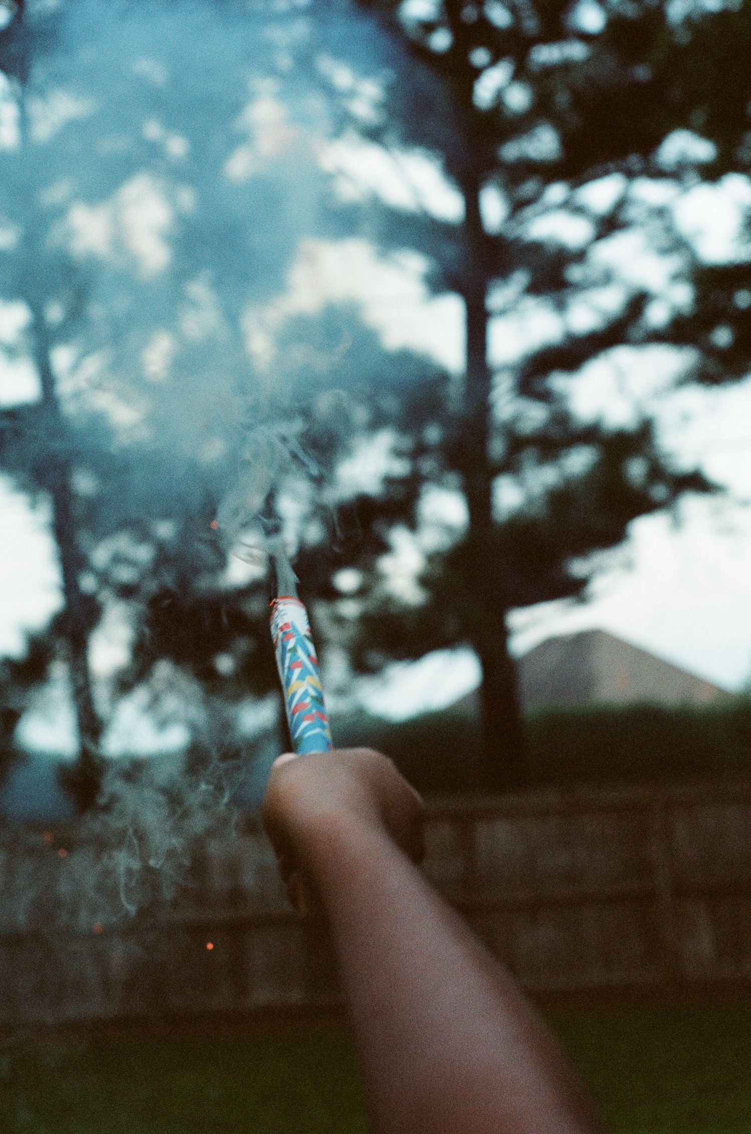 Blurry outdoor scene with trees and sky creating a dreamy bokeh effect.