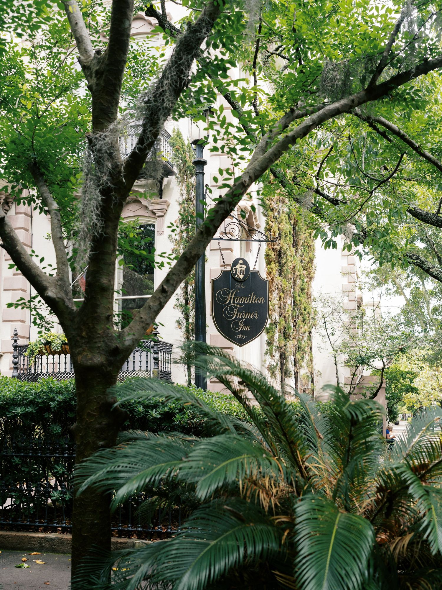 Lush garden courtyard with palm fronds and mature trees creating a natural canopy.