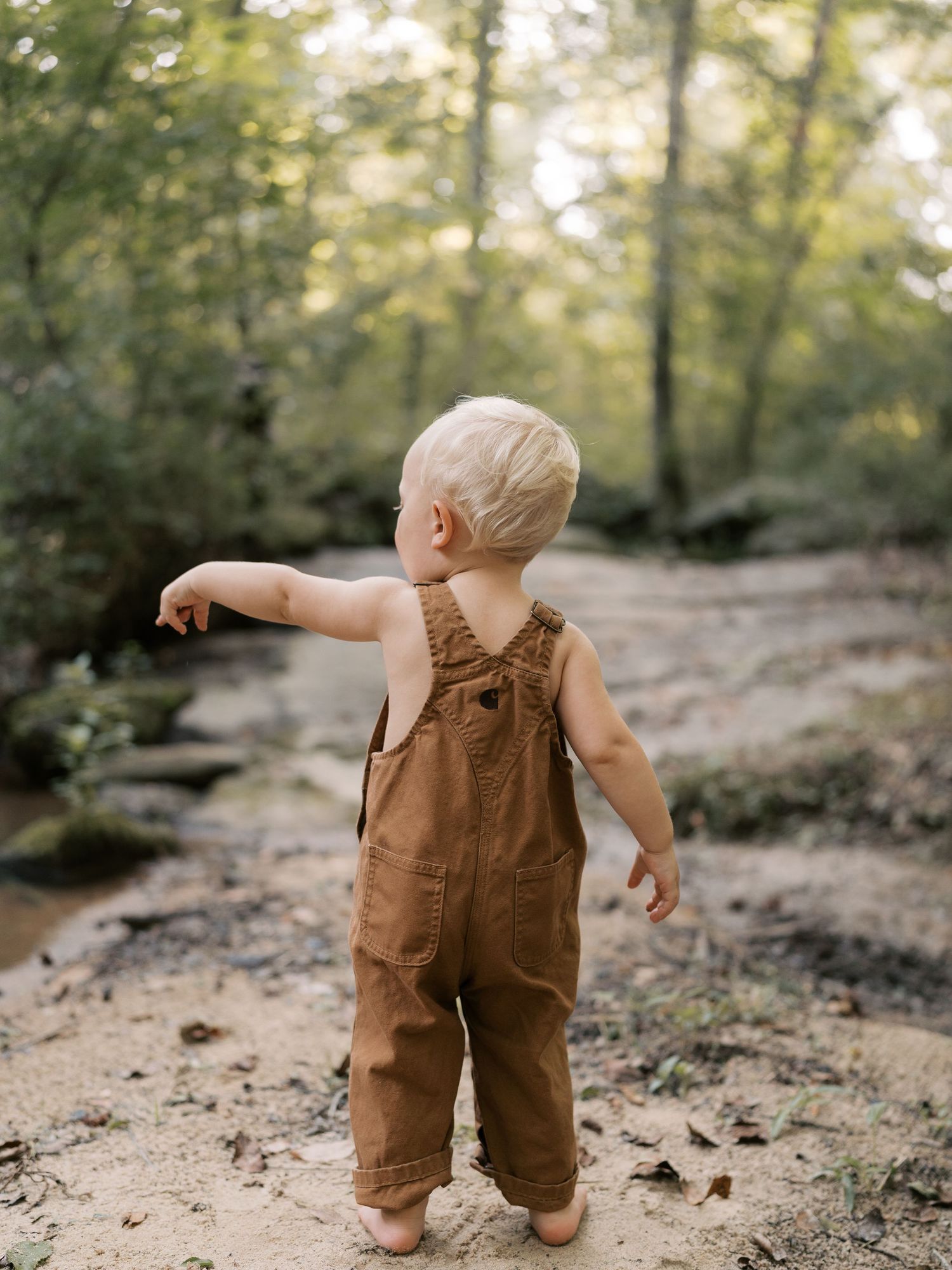 A baby in brown overalls explores a wooded trail independently.