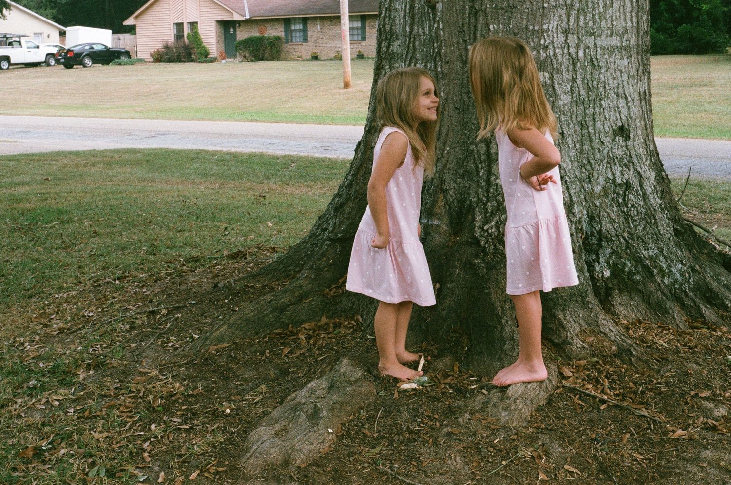Two children in pink summer dresses chat while standing by a large tree trunk.