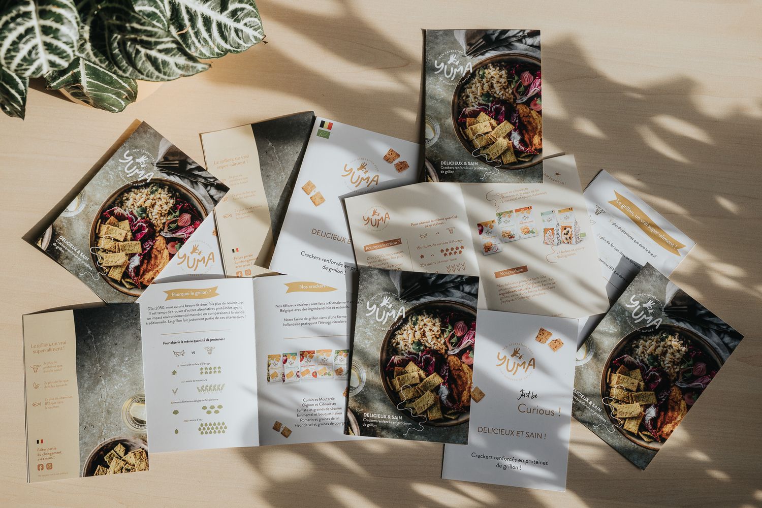 Overhead view of food recipe brochures and menus spread on beige surface.