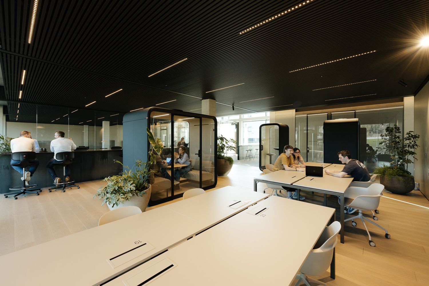Modern open-plan office with black ceiling, collaborative workspaces, plants, and privacy pods.