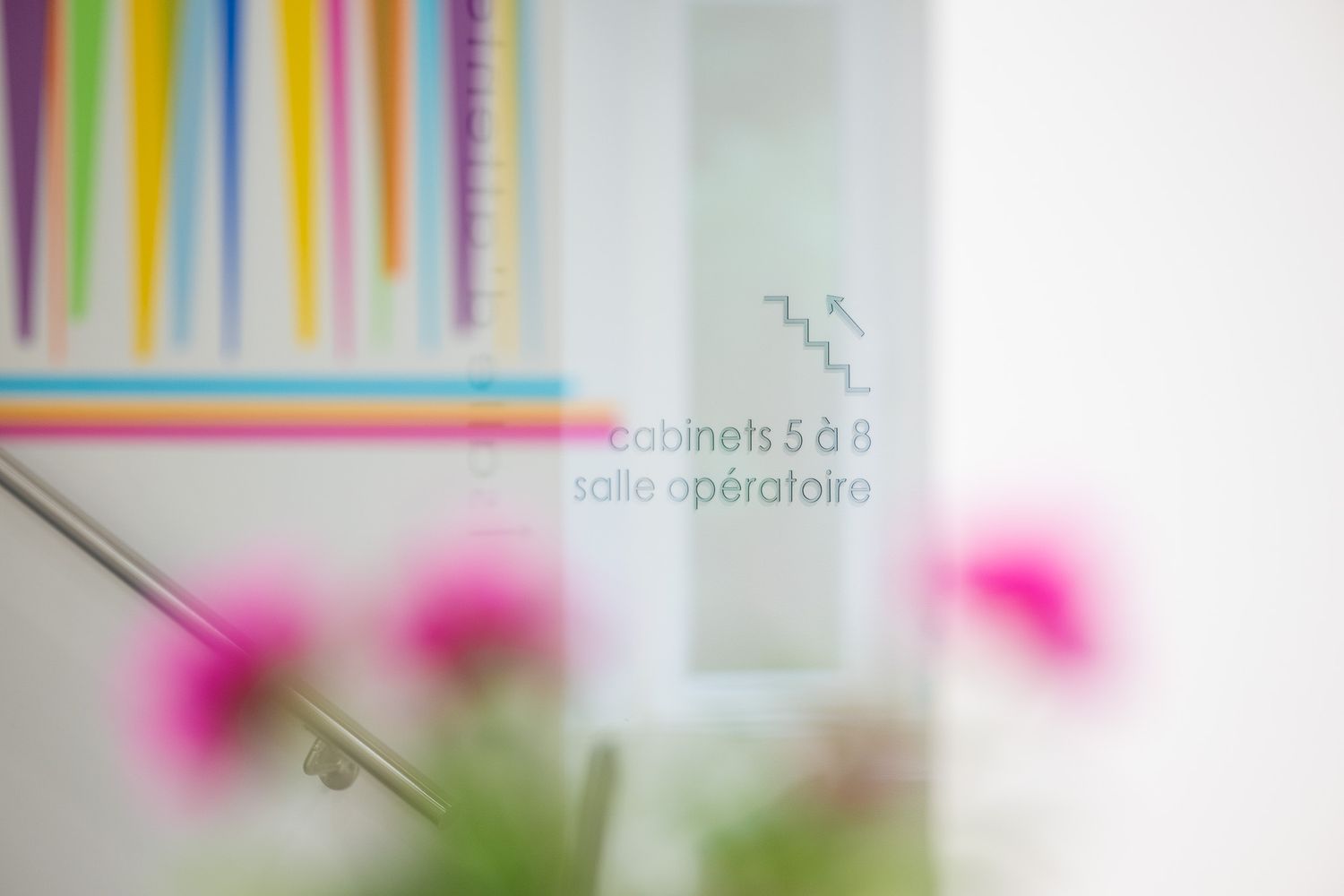 Blurred pink flowers in foreground with dental office directional sign in background.