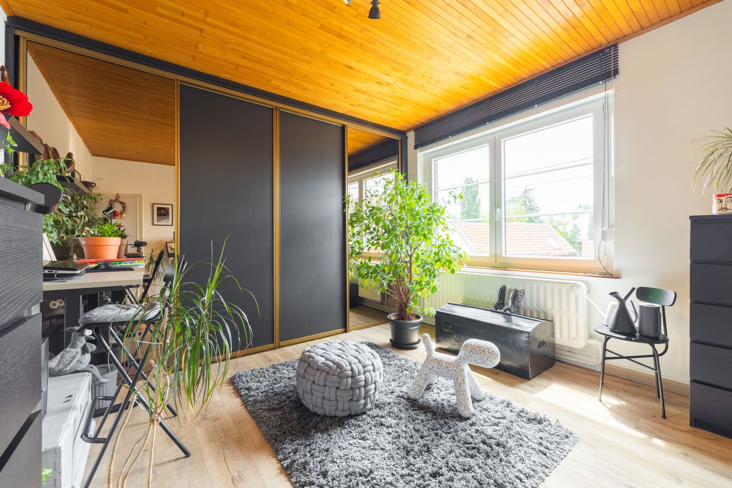 Modern living room with wood ceiling, dark wardrobe, hardwood floors, lush plants, and a cozy gray rug area.