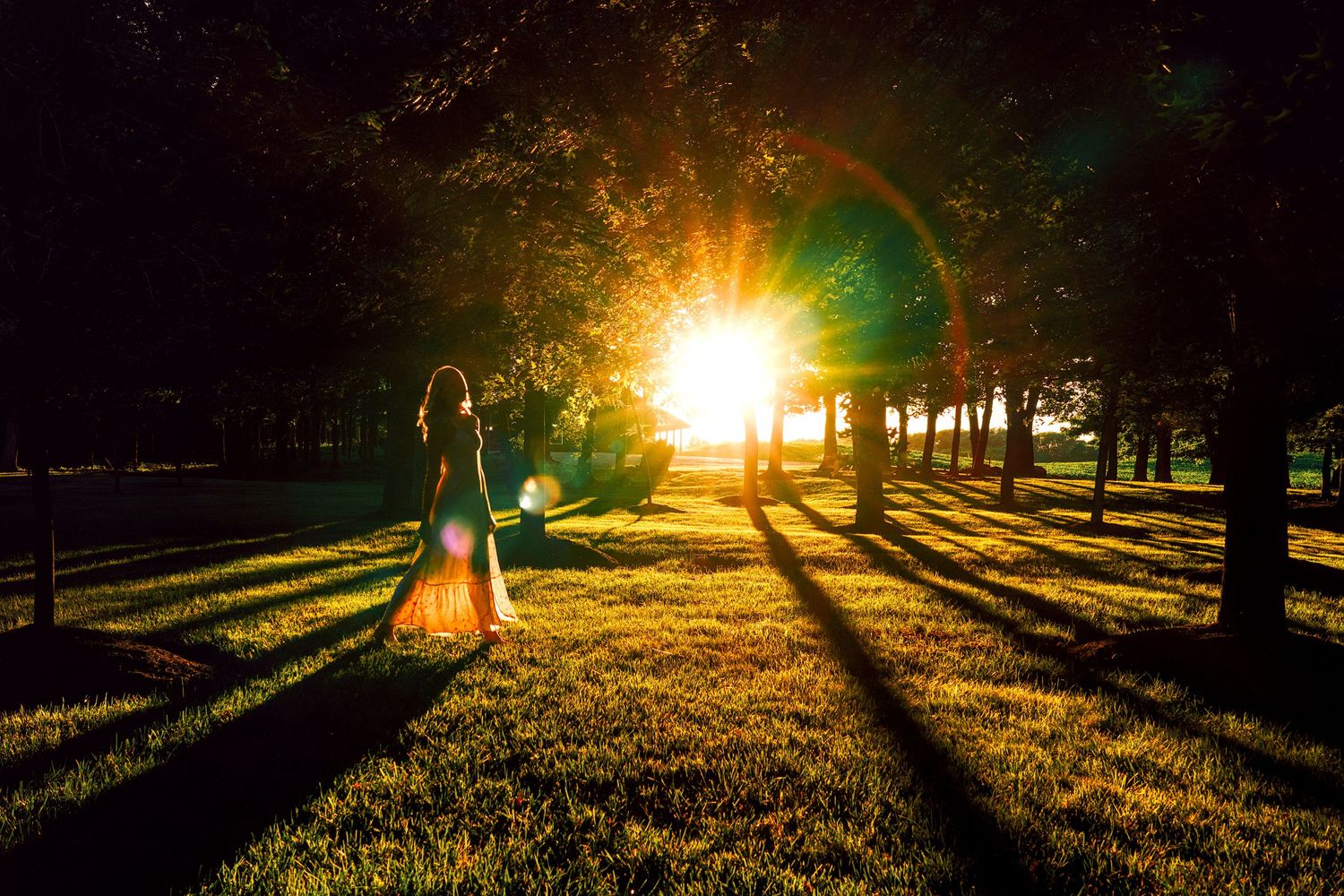 Woman standing in a sunlit park at golden hour with dramatic lens flare and long tree shadows on lush green grass.