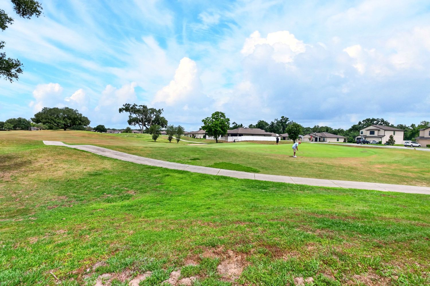 Lush green park with winding pathways, trees, and open fields under a bright blue sky with fluffy clouds.