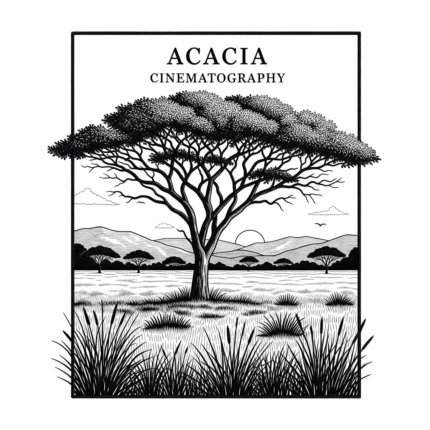 Black and white logo of Acacia Cinematography featuring an African acacia tree in a savanna landscape.