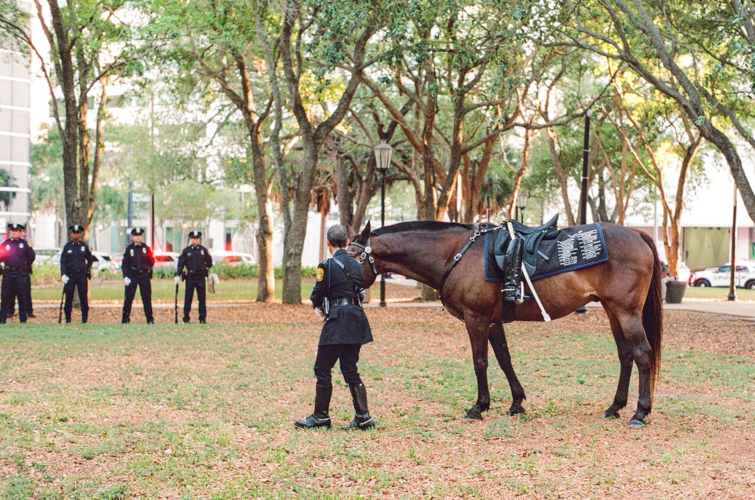 Mounted police officer stands with brown horse on grass while officers gather in background near trees.
