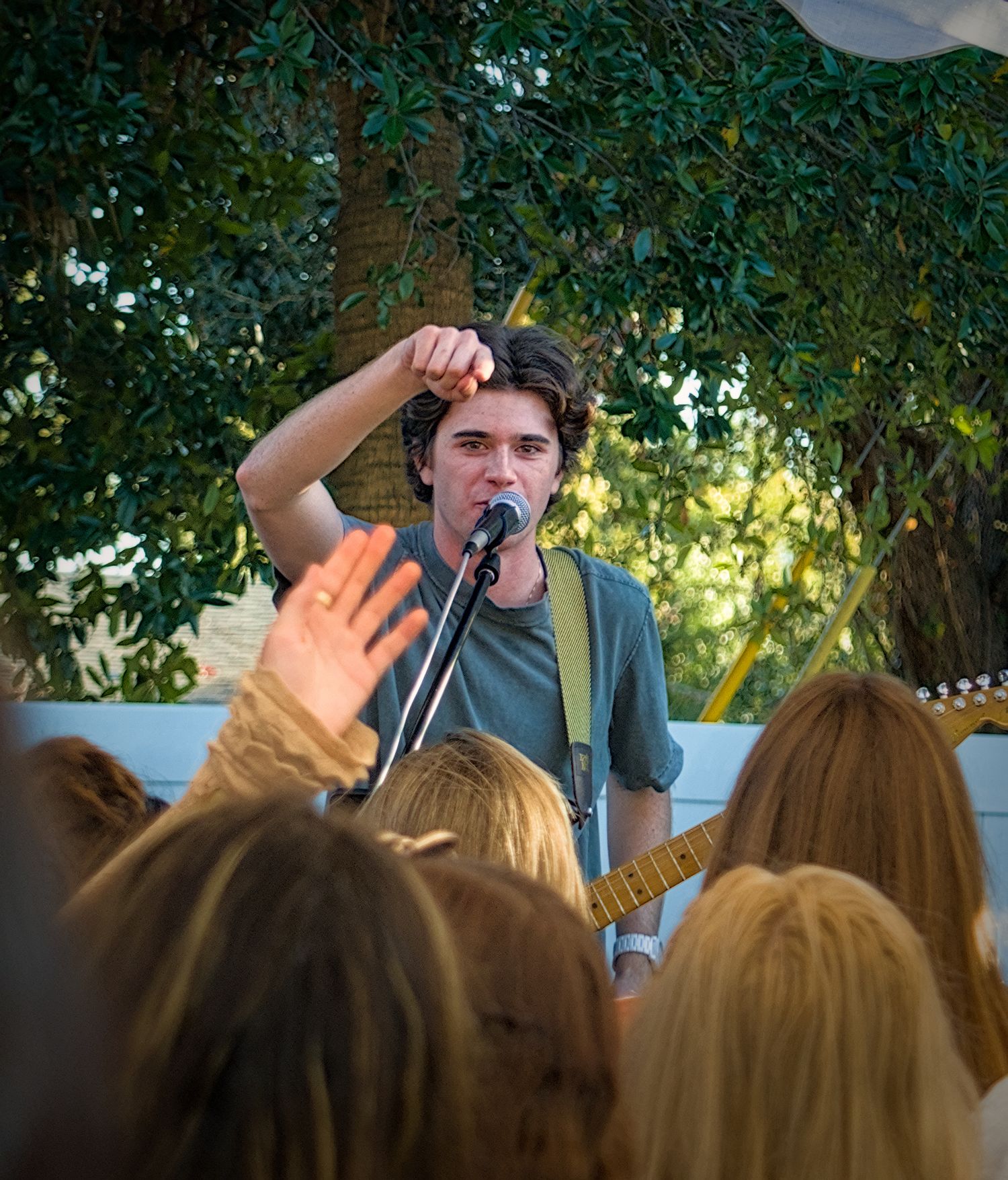 A crowd watches performers on stage during an outdoor concert with trees in the background.