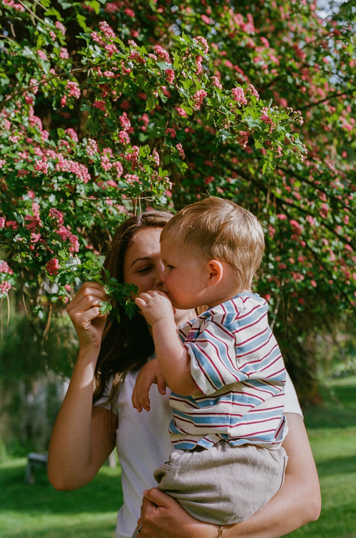 A mother holds her toddler as they smell flowers together near a blooming pink floral tree outdoors.