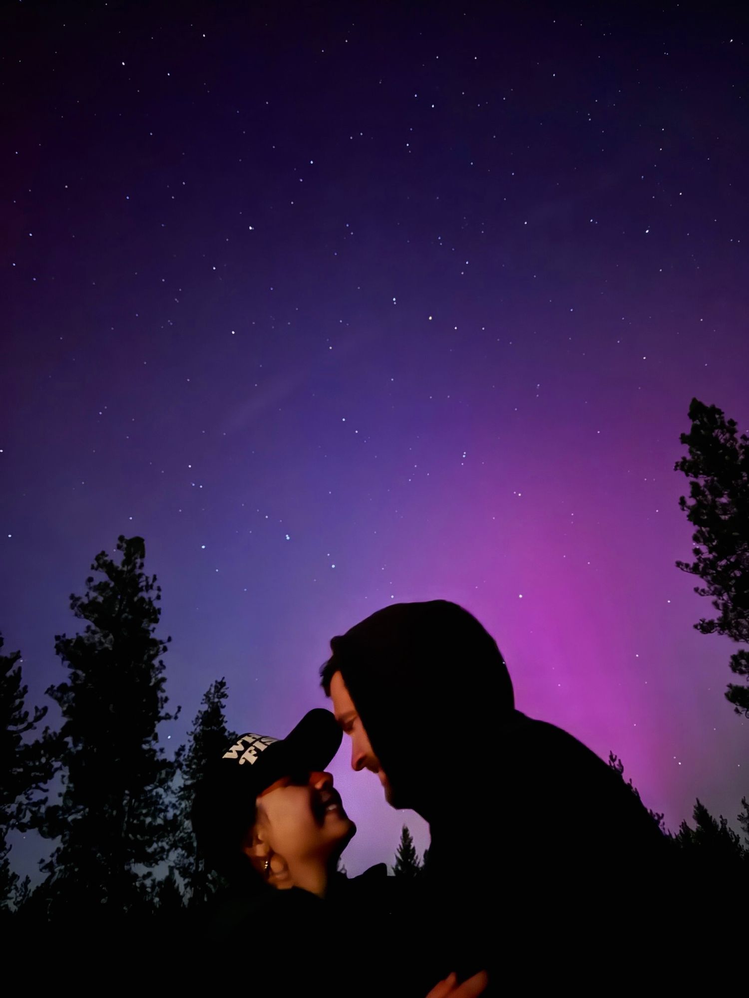 Silhouettes against a purple and pink starry night sky with trees in the background.