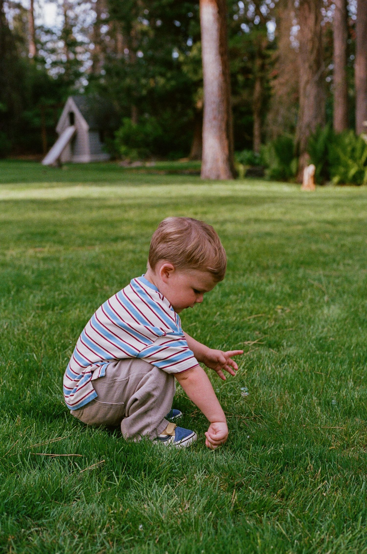 A young toddler boy in a striped shirt crouches on lush green grass, examining a small stick in a park setting.