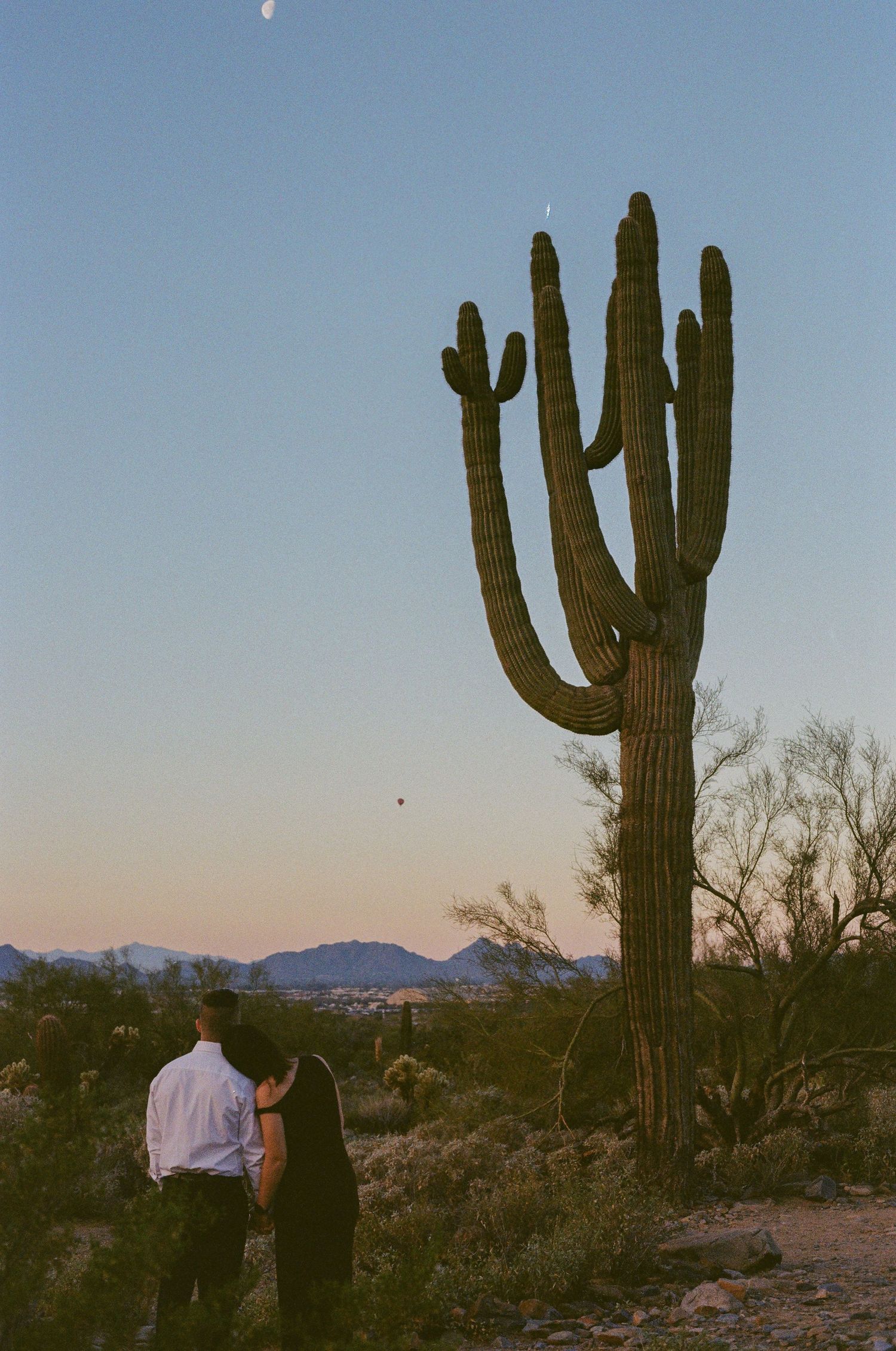 Couple embracing at sunset beside a tall saguaro cactus in the Arizona desert landscape.