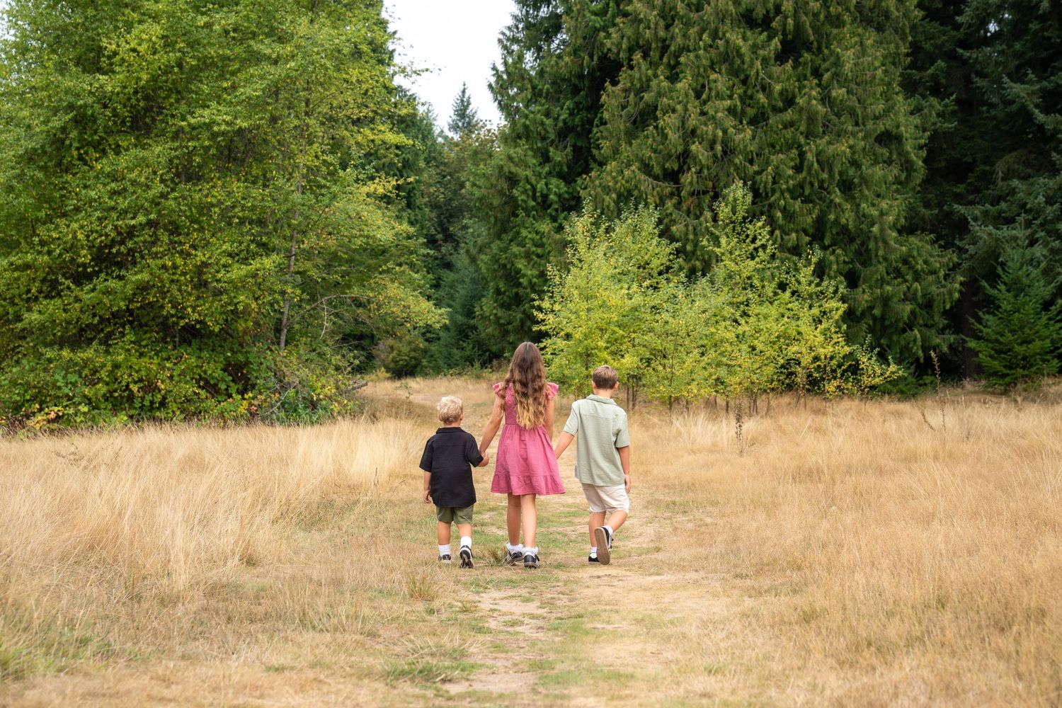 People walking through tall grass meadow with evergreen forest in background.