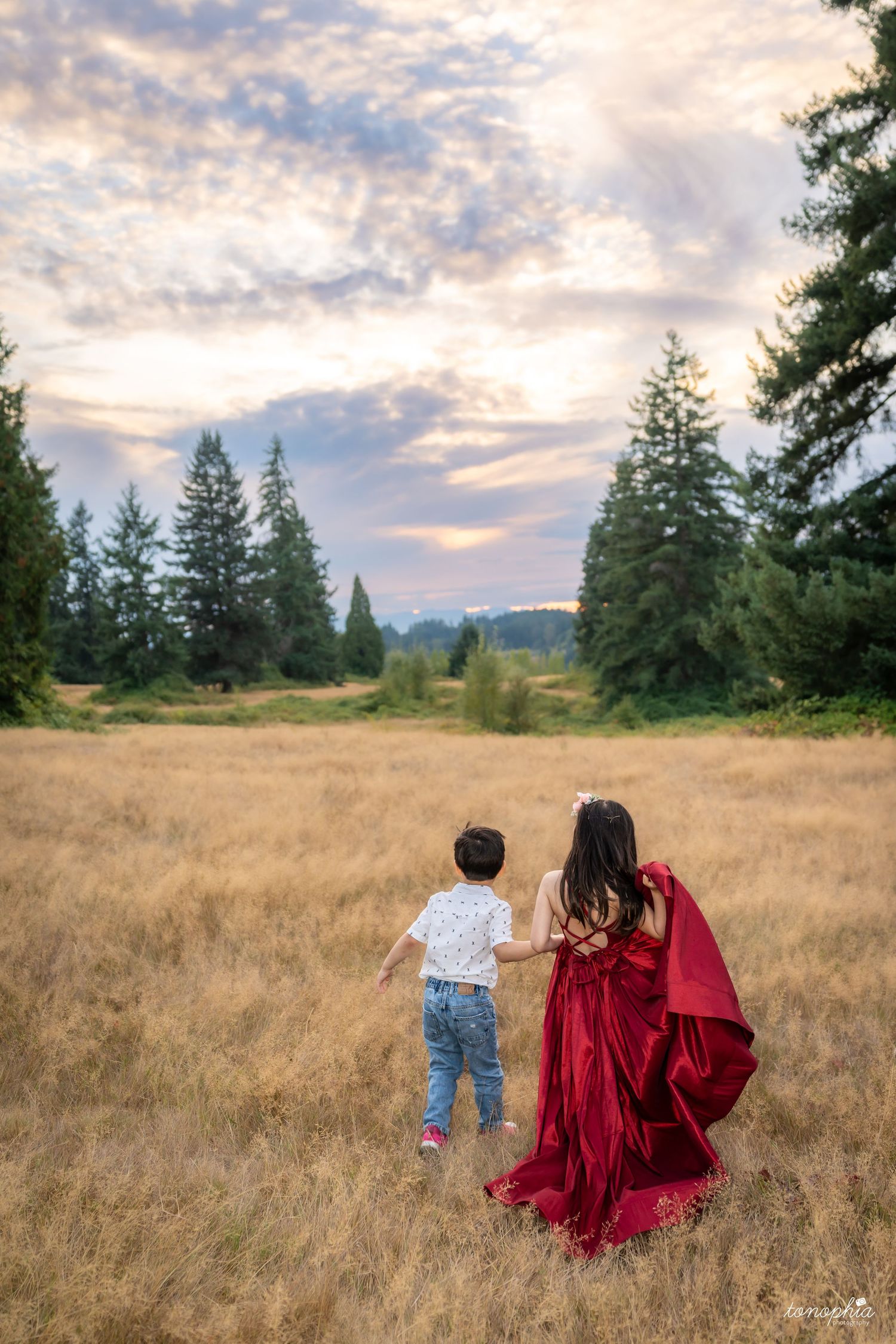 A scenic meadow at sunset with tall pine trees and golden grass swaying in the breeze.