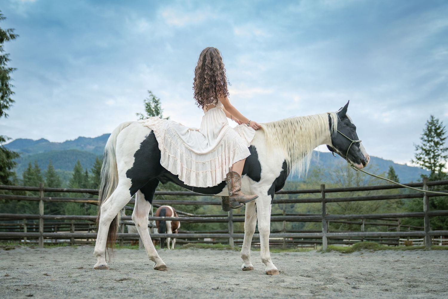 White horse grazes in a fenced paddock against a cloudy mountain backdrop.