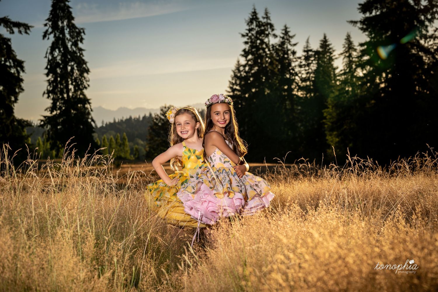 Panoramic view of grassy field with tall evergreen trees during golden hour.