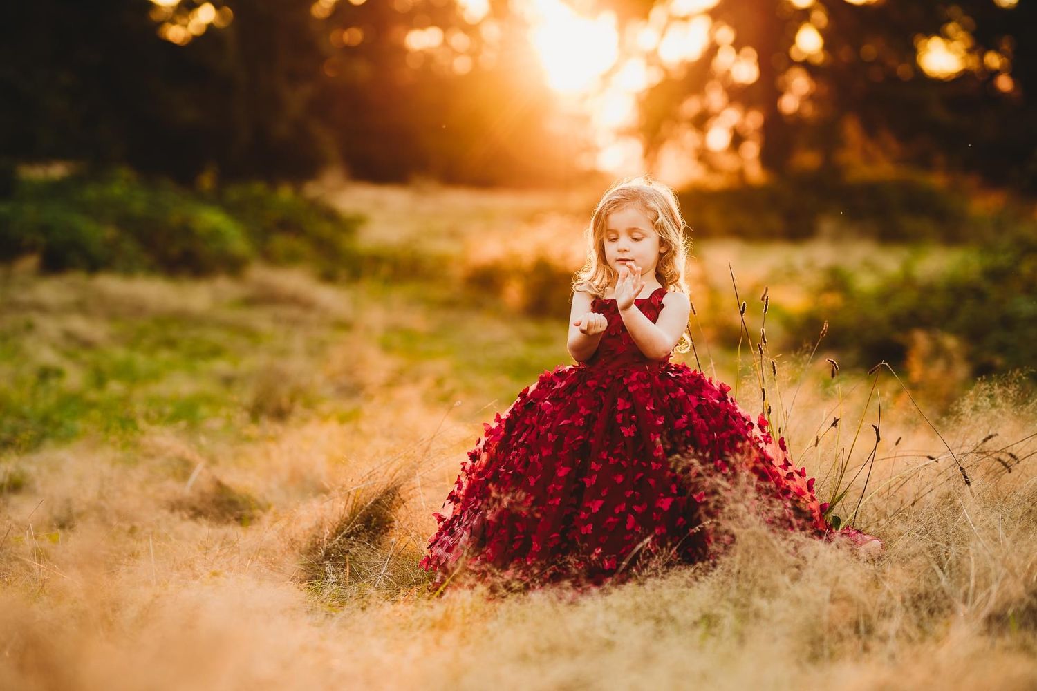 Golden sunset field with deep red floral elements creating dreamy atmosphere.