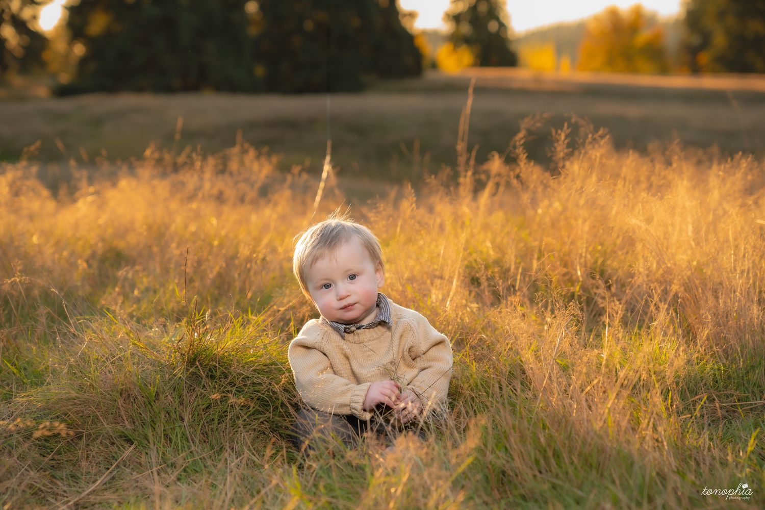 Golden sunset light illuminates a grassy field during an outdoor photoshoot.