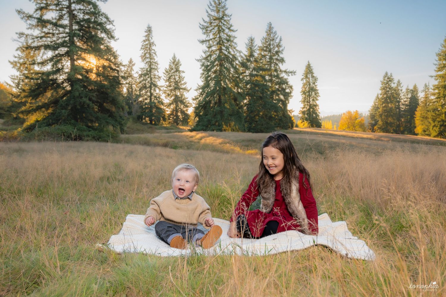 A family walks together through a golden autumn field with tall evergreen trees in the background.