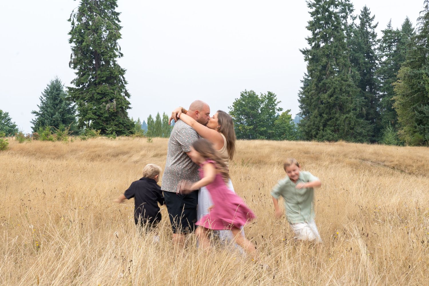 Family playing in a sun-lit summer meadow with evergreen trees in the distance.