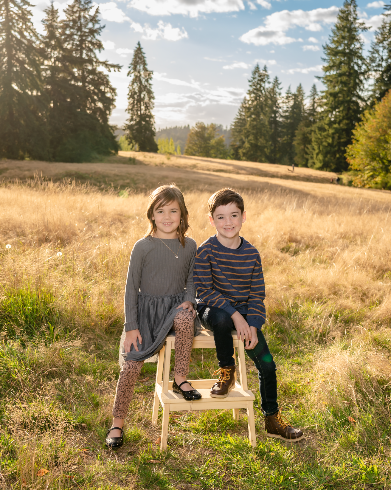 Children sitting together on wooden bench in sunny meadow with evergreen trees in background.