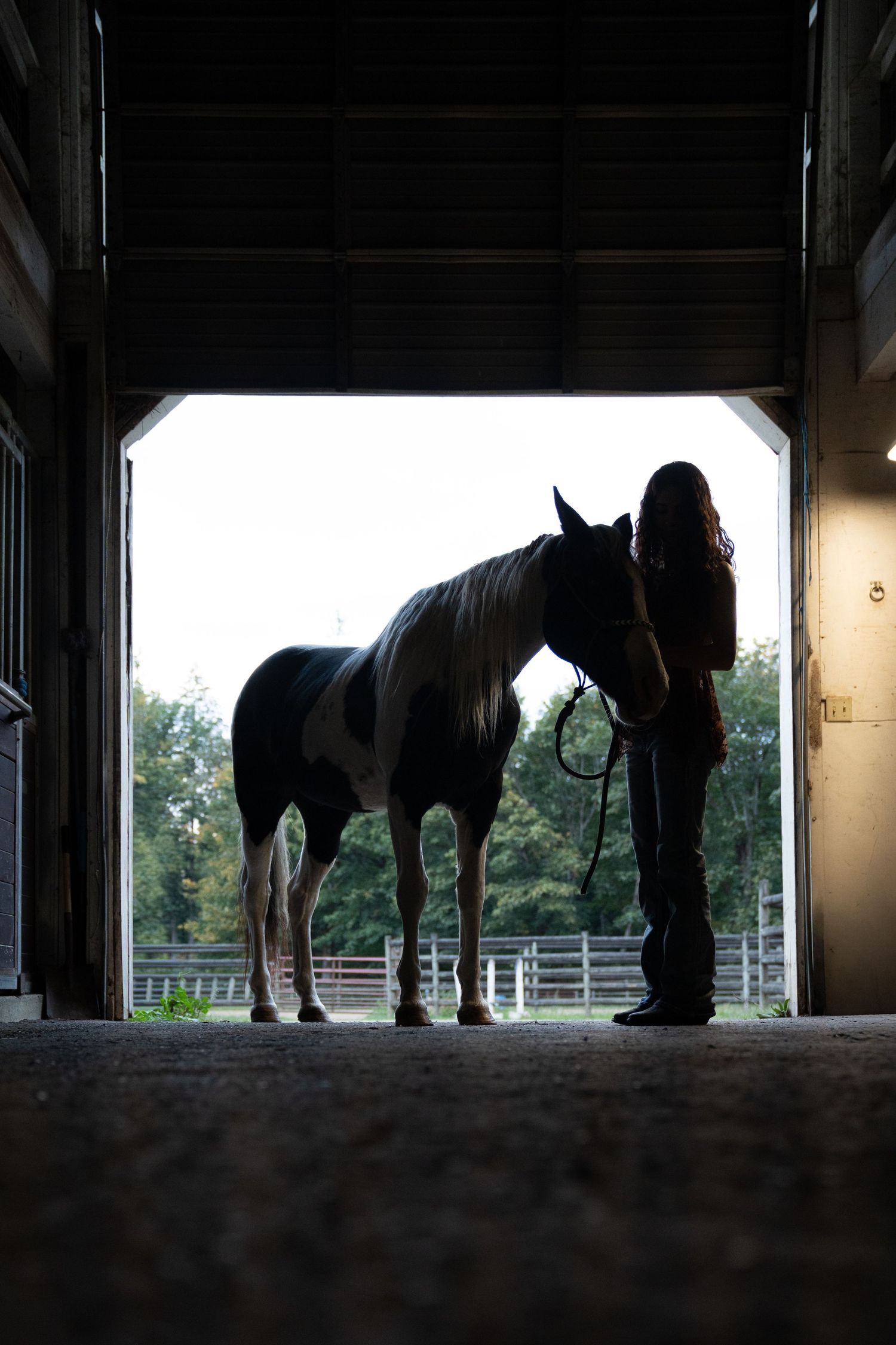 Silhouettes of horses and handlers in a dimly lit stable.