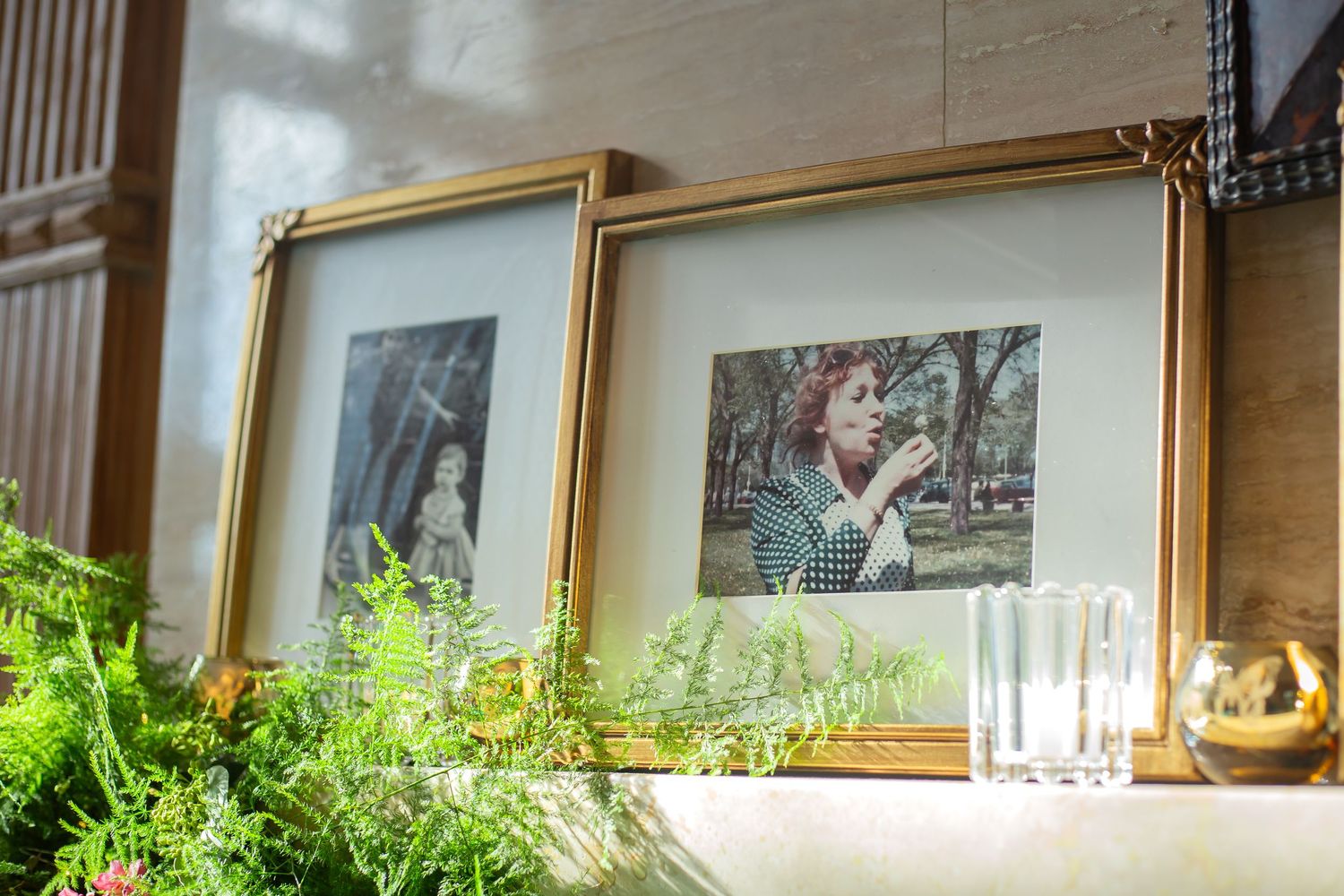 Framed photographs displayed on wooden surface with green plants in foreground.