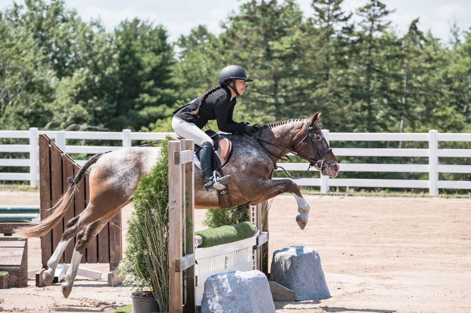 rider and horse jumping
