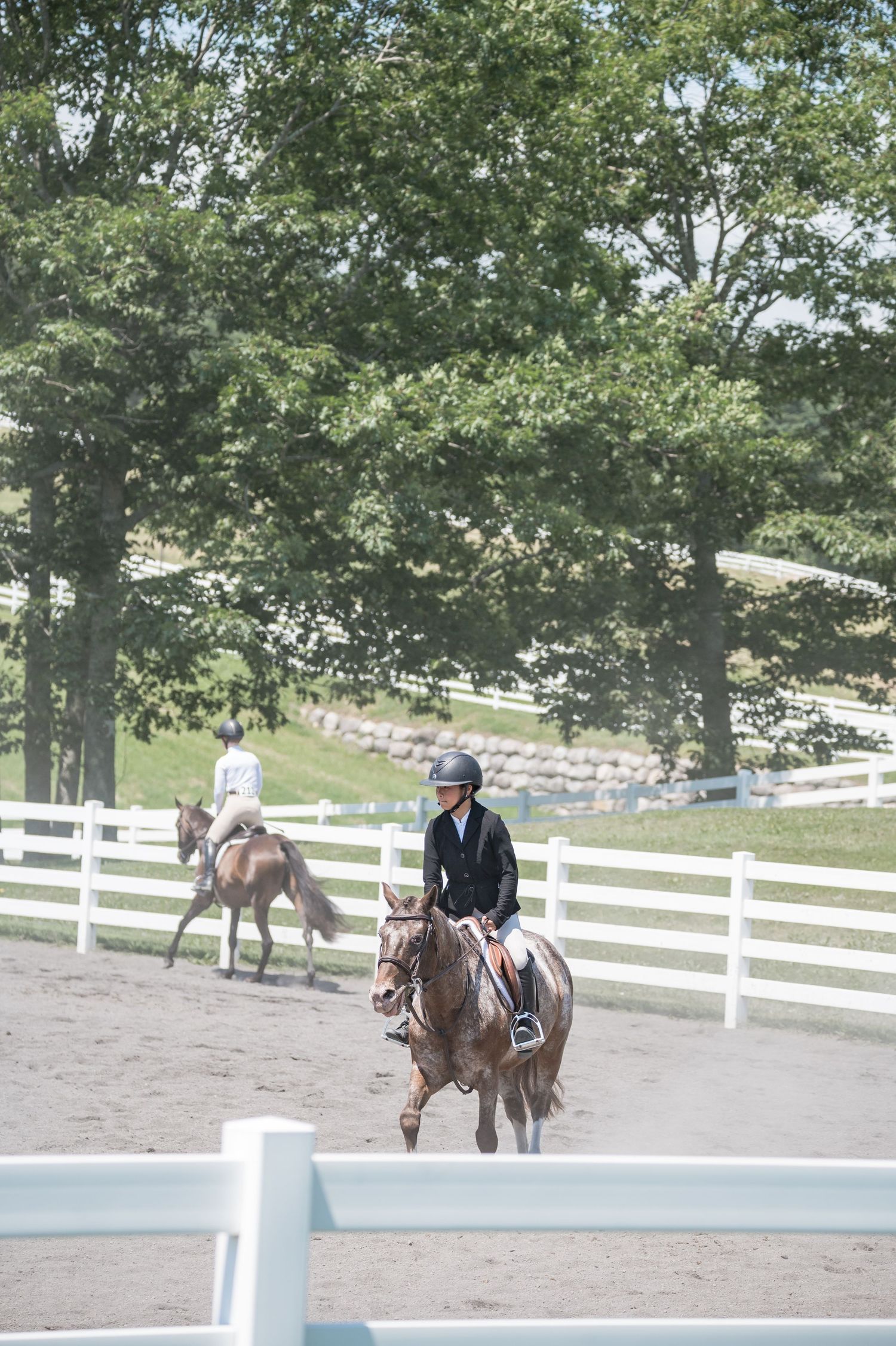 horse show