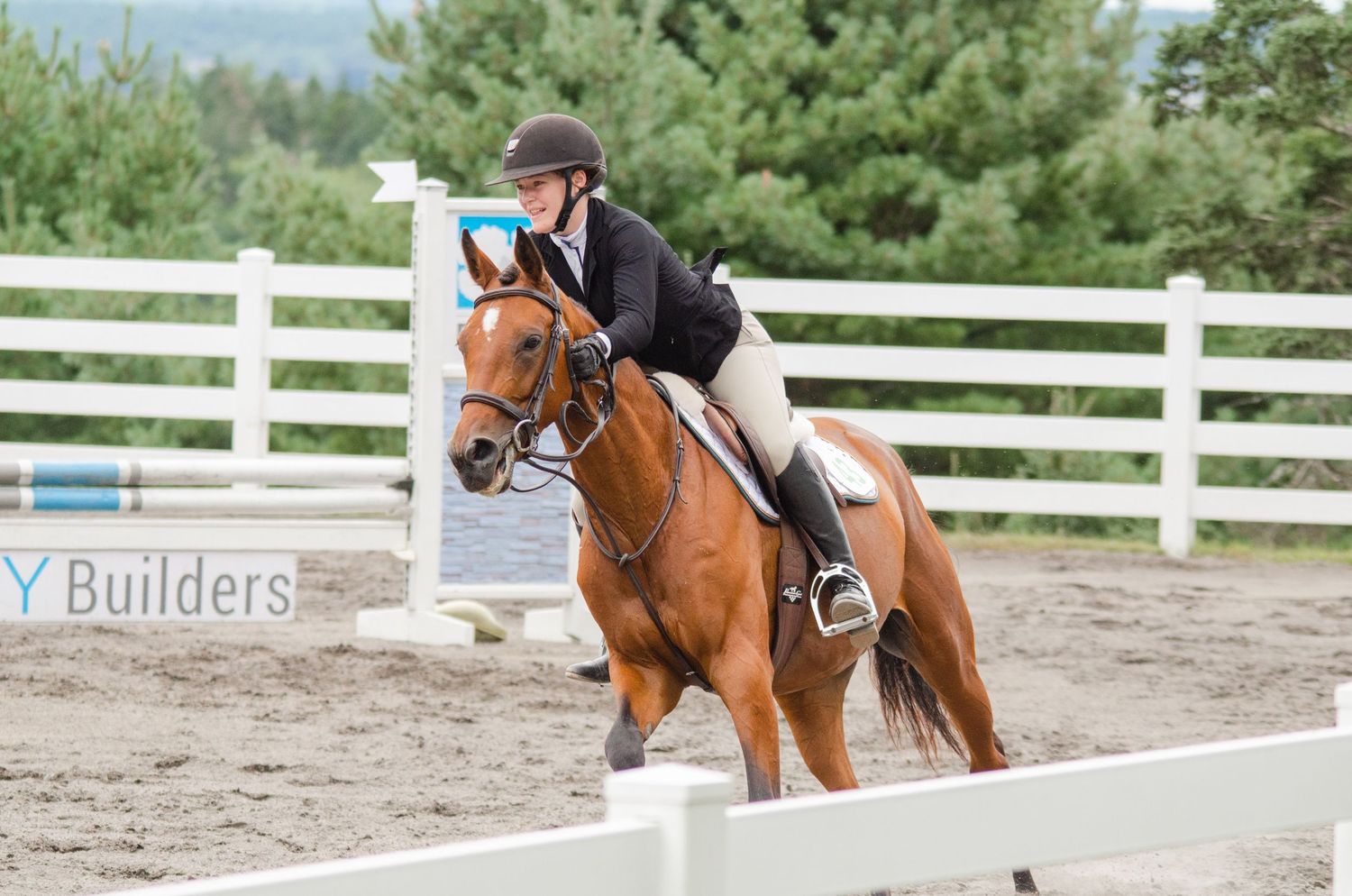 horse and rider