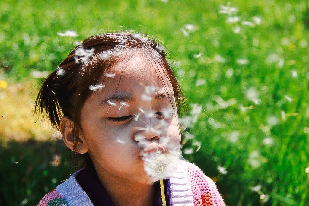 A child in a red dress blows dandelion seeds in a sunny green field on a summer day.