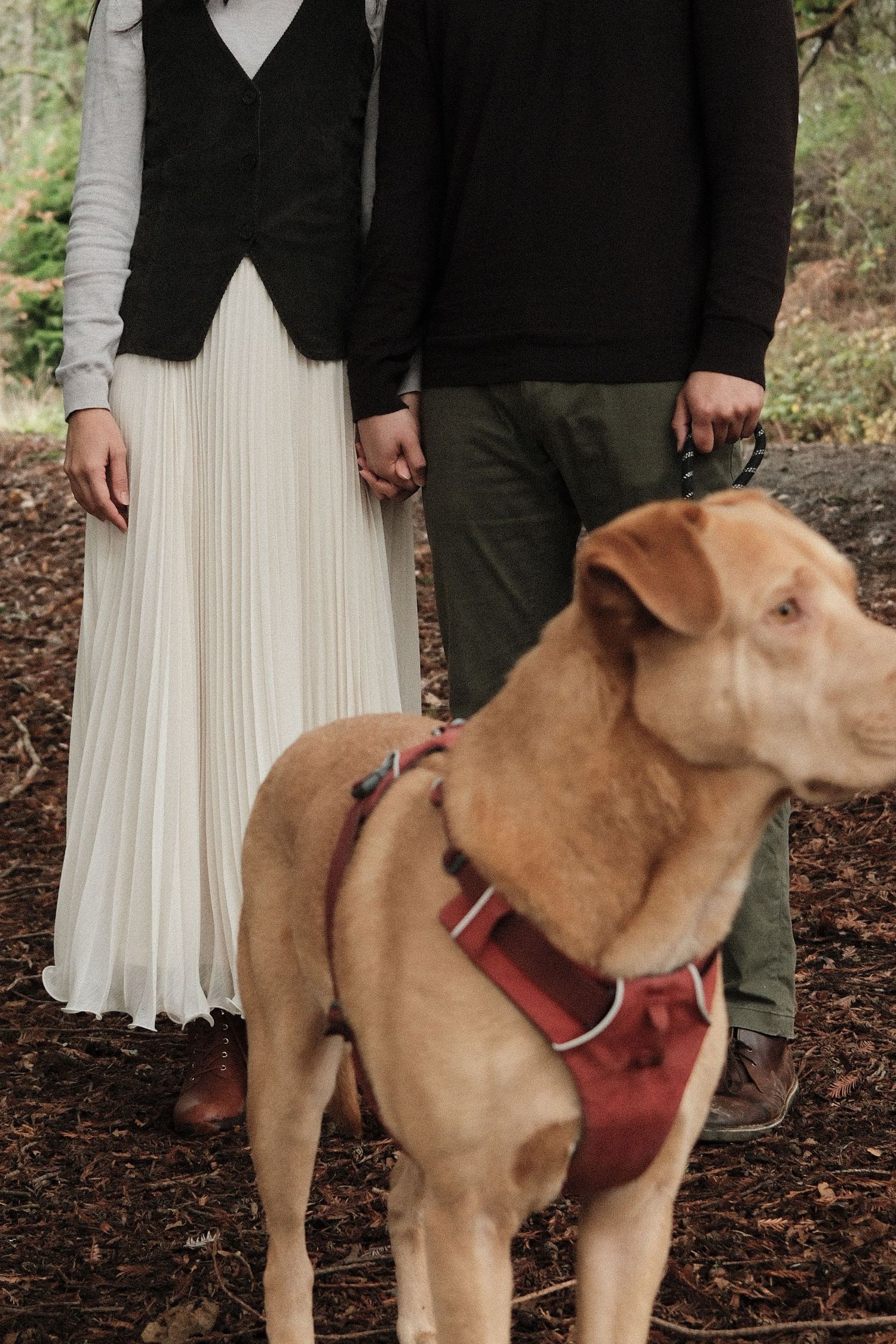 family portrait