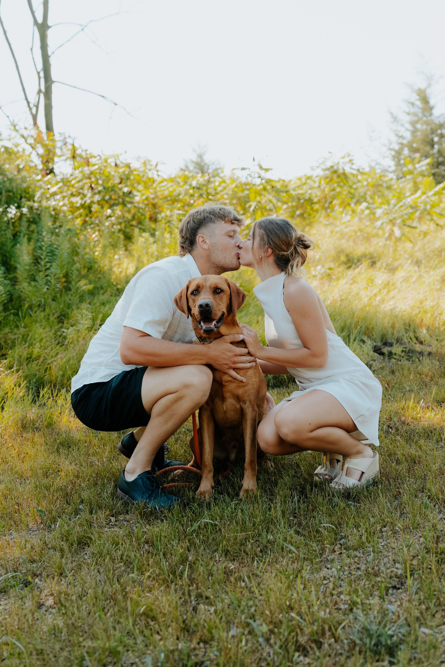 Couple kissing outdoors while crouching with a brown Labrador dog on green grass with trees in background.