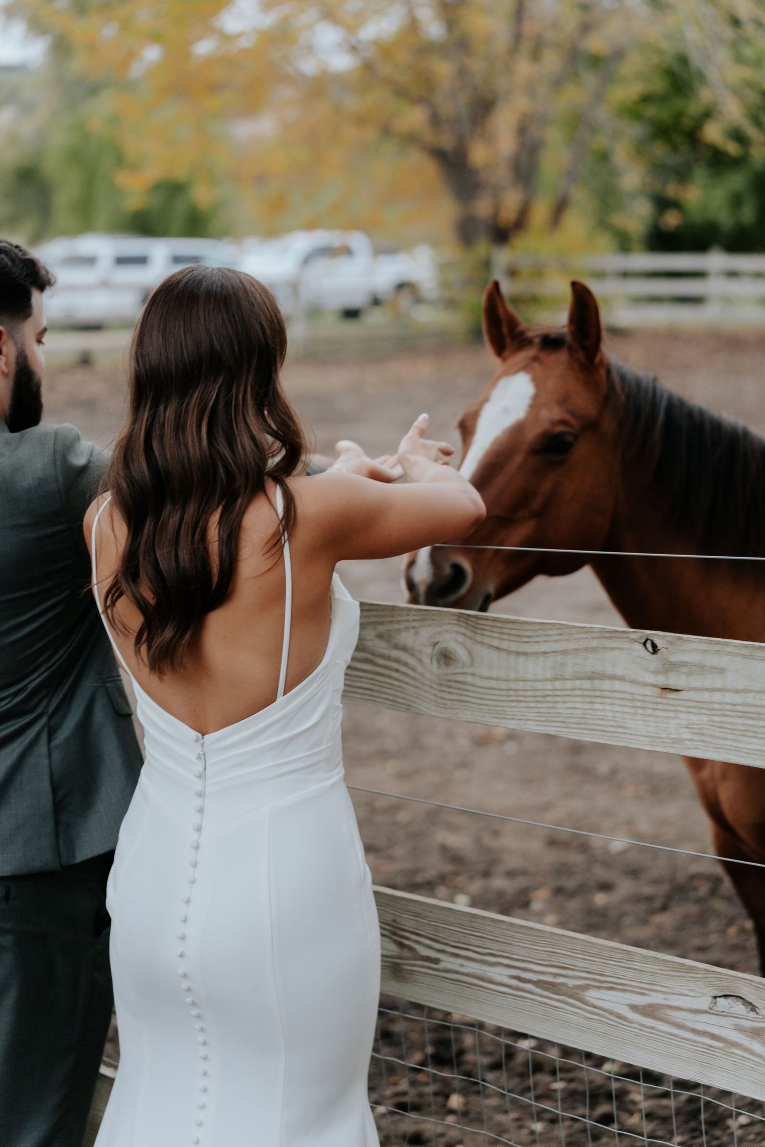 Bride in white gown and groom in gray suit petting a brown horse over a wooden fence at a farm wedding.
