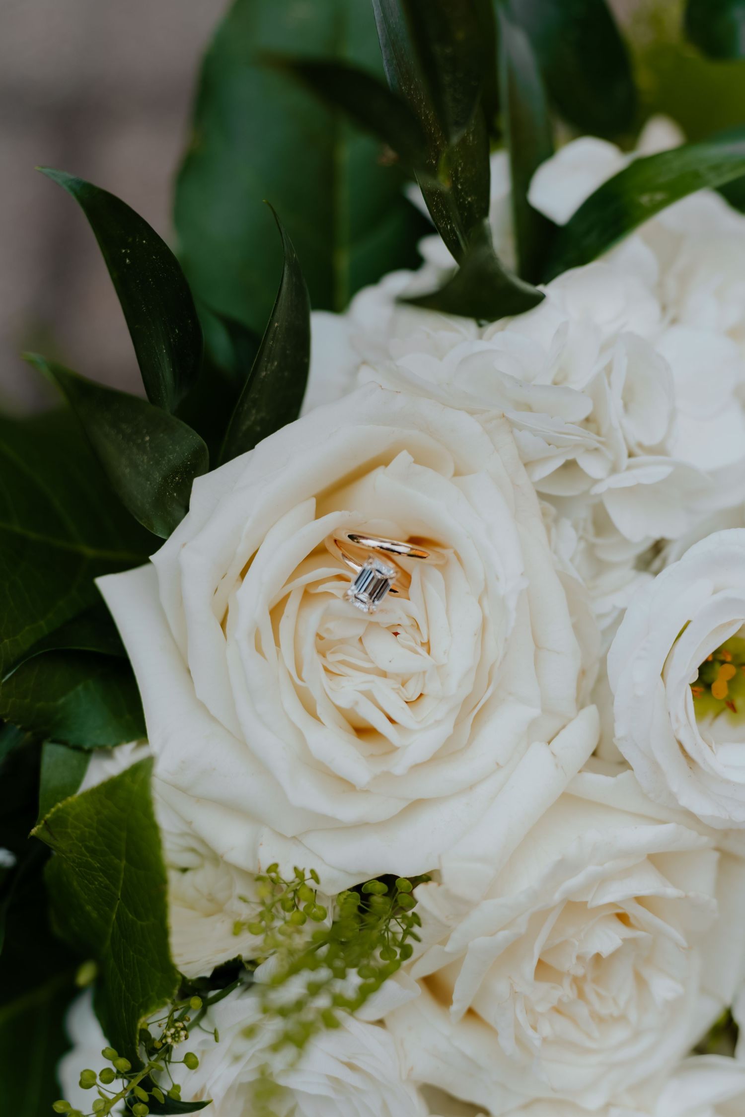 Diamond engagement ring resting in a white garden rose bouquet with lush green leaves.