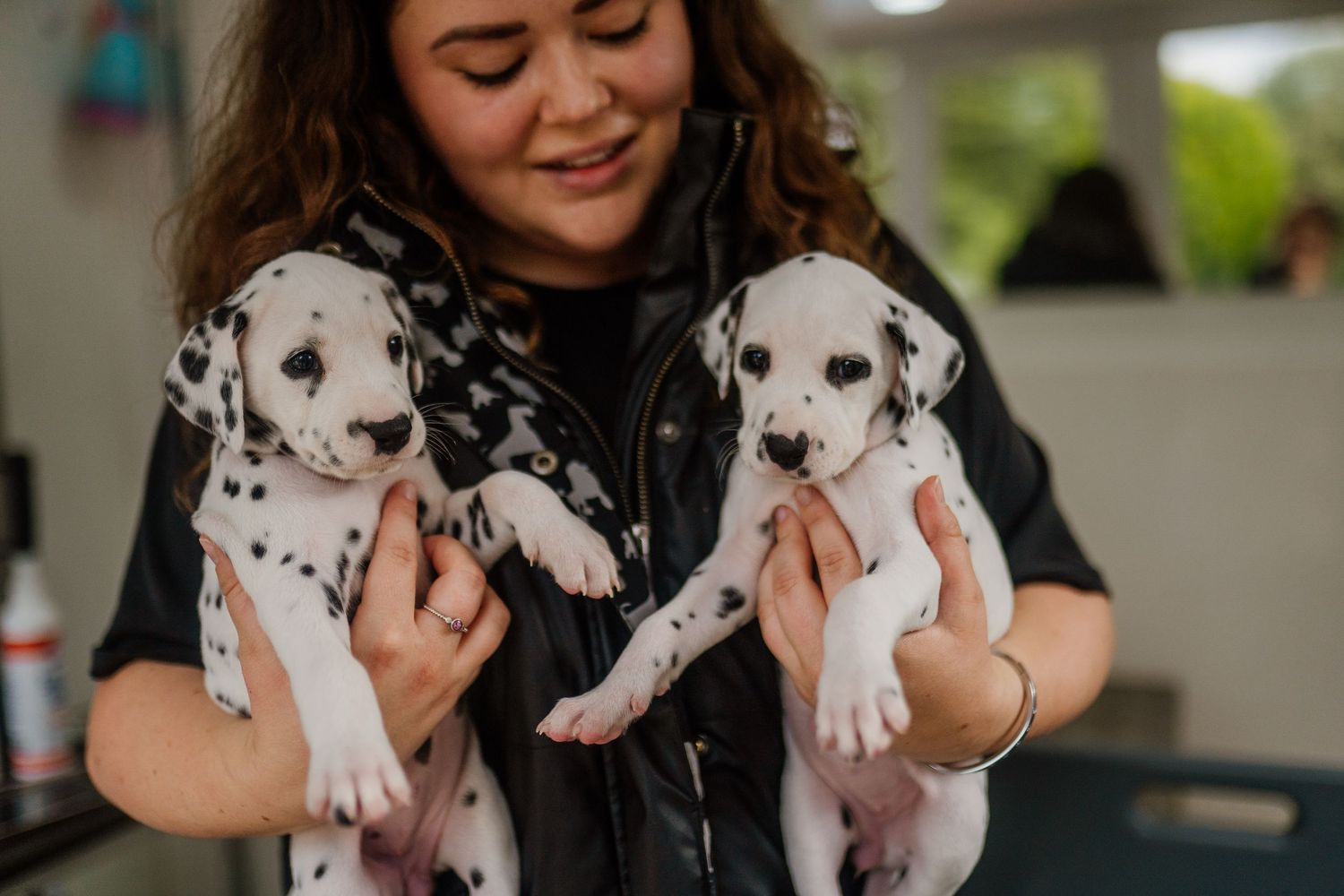 Two adorable white puppies being held and cuddled.