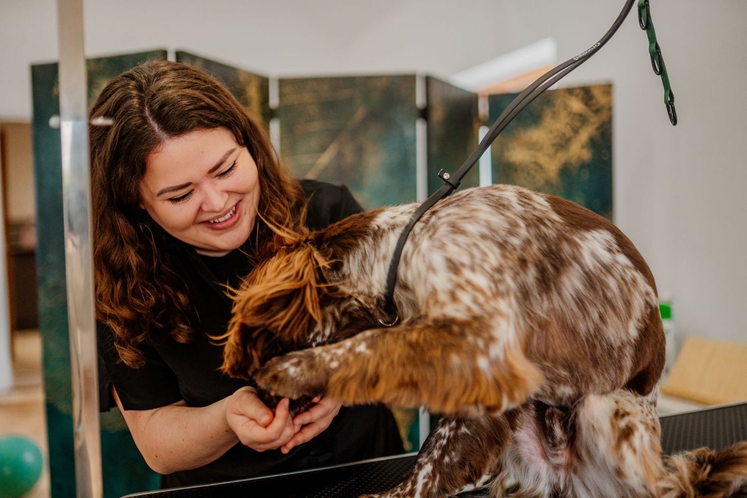 Playful interaction between a person and a spotted dog on a light colored floor.