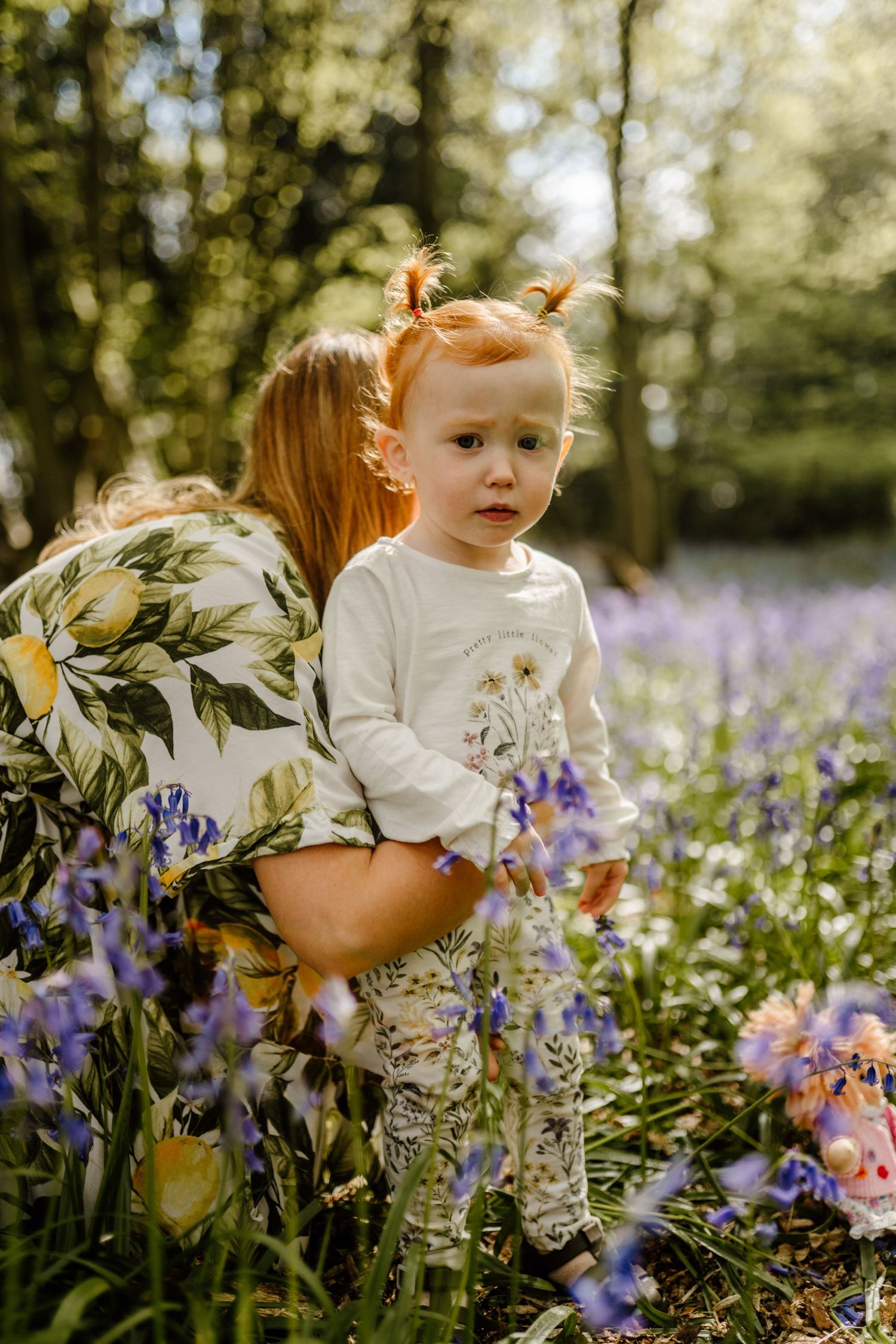 A dreamy outdoor scene in a garden with purple bluebells in Hertfordshire and soft natural lighting.